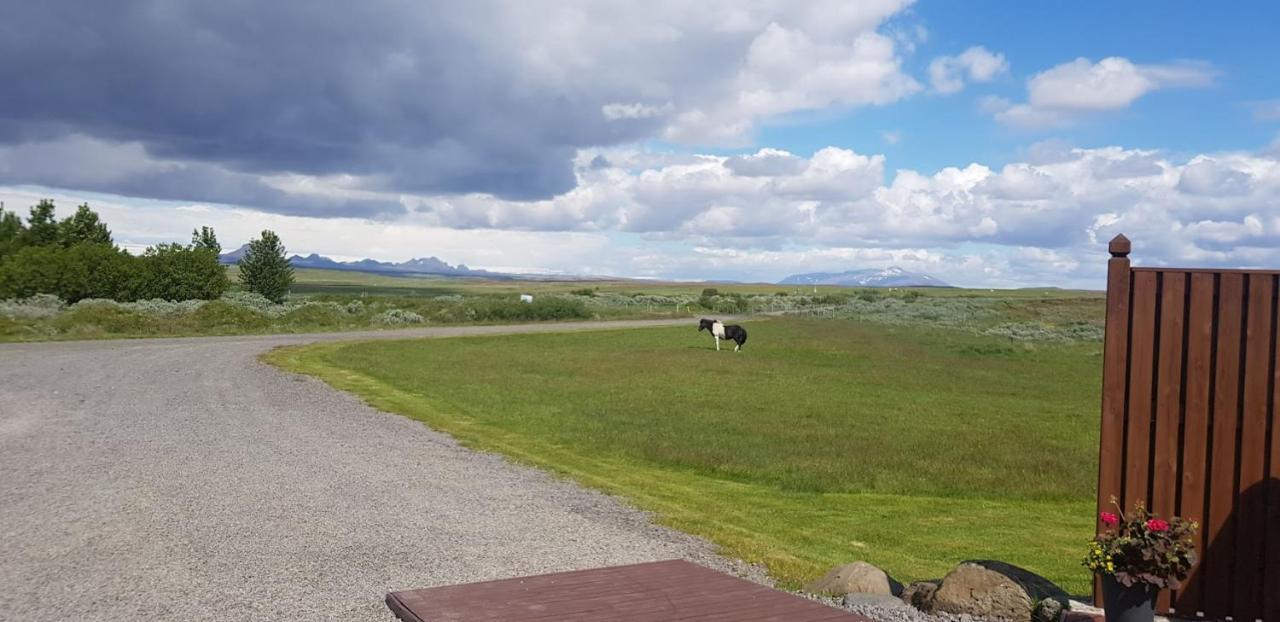Skálinn between Gullfoss&Geysir - Myrkholt Farm Haukadalur Eksteriør bilde