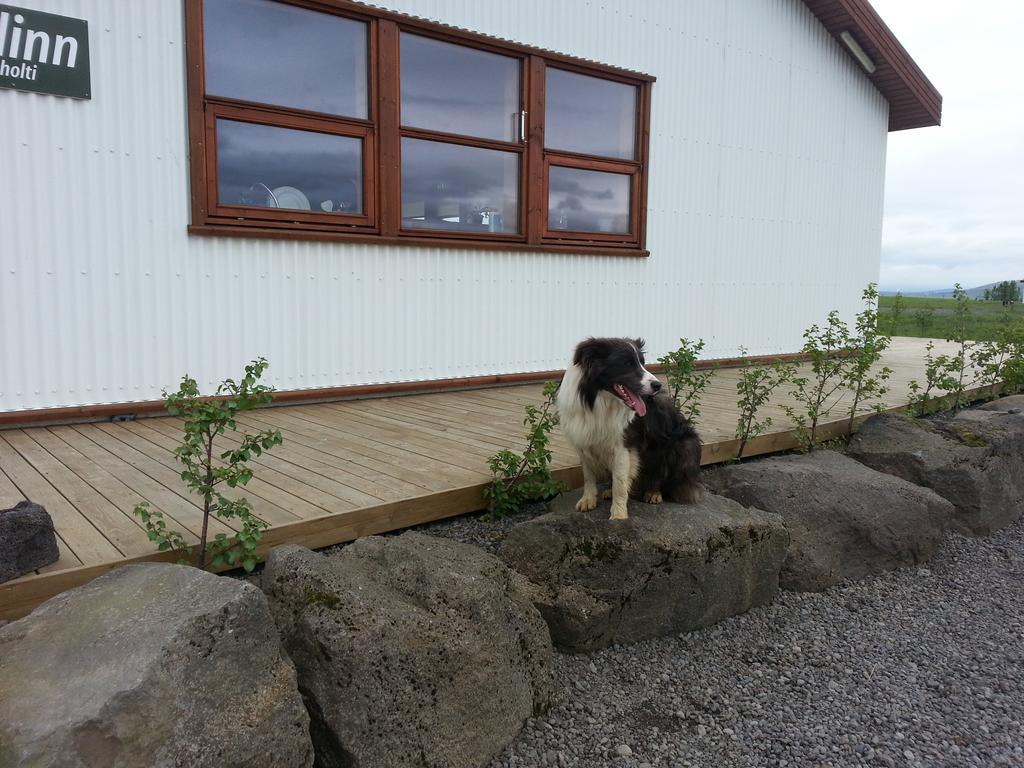 Skálinn between Gullfoss&Geysir - Myrkholt Farm Haukadalur Eksteriør bilde