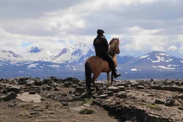 Skálinn between Gullfoss&Geysir - Myrkholt Farm Haukadalur Eksteriør bilde