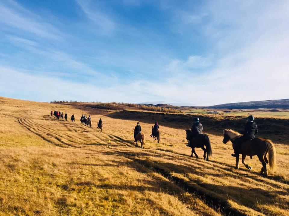 Skálinn between Gullfoss&Geysir - Myrkholt Farm Haukadalur Eksteriør bilde